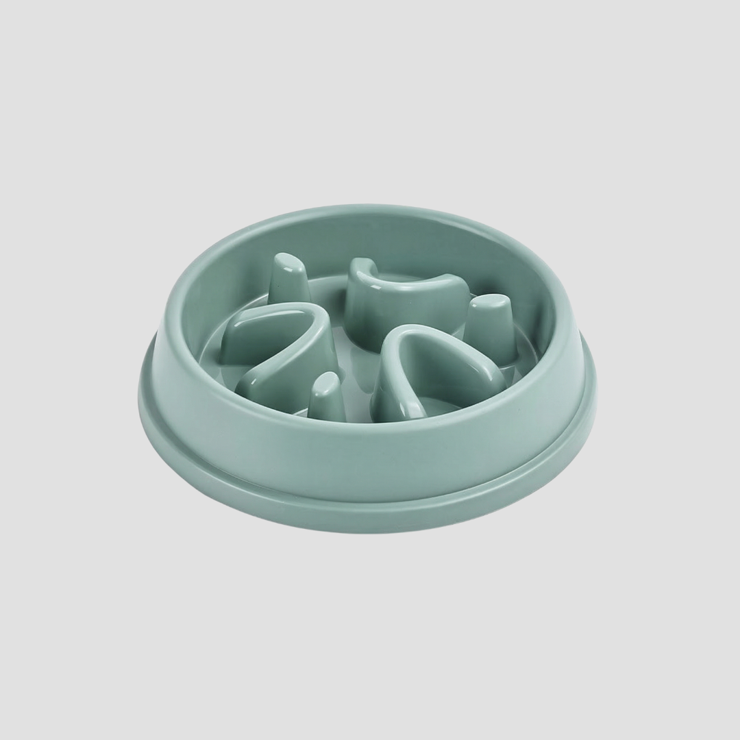 Light blue pet feeder on a light gray background