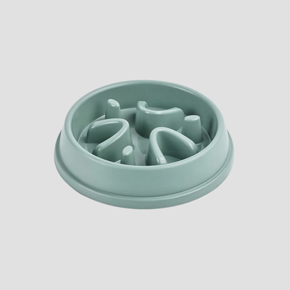 Light blue pet feeder on a light gray background