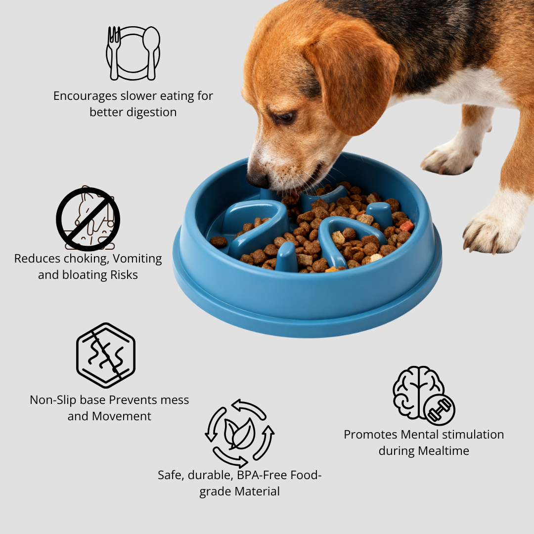 Dog eating from a blue slow feeder with features listed on a light gray background