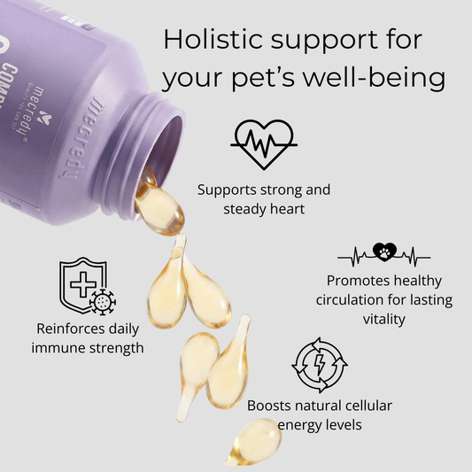 Mecredy: Heart & Energy CoQ10 Formula