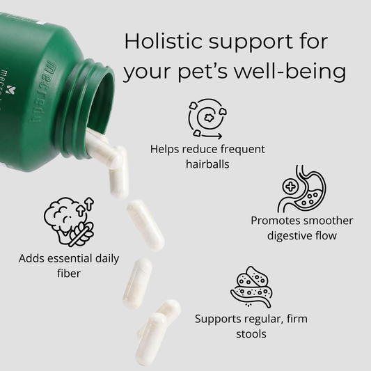 Mecredy: Hairball Control Fiber Solution